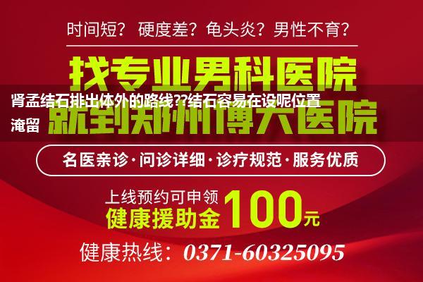 肾孟结石排出体外的路线??结石容易在设呢位置淹留